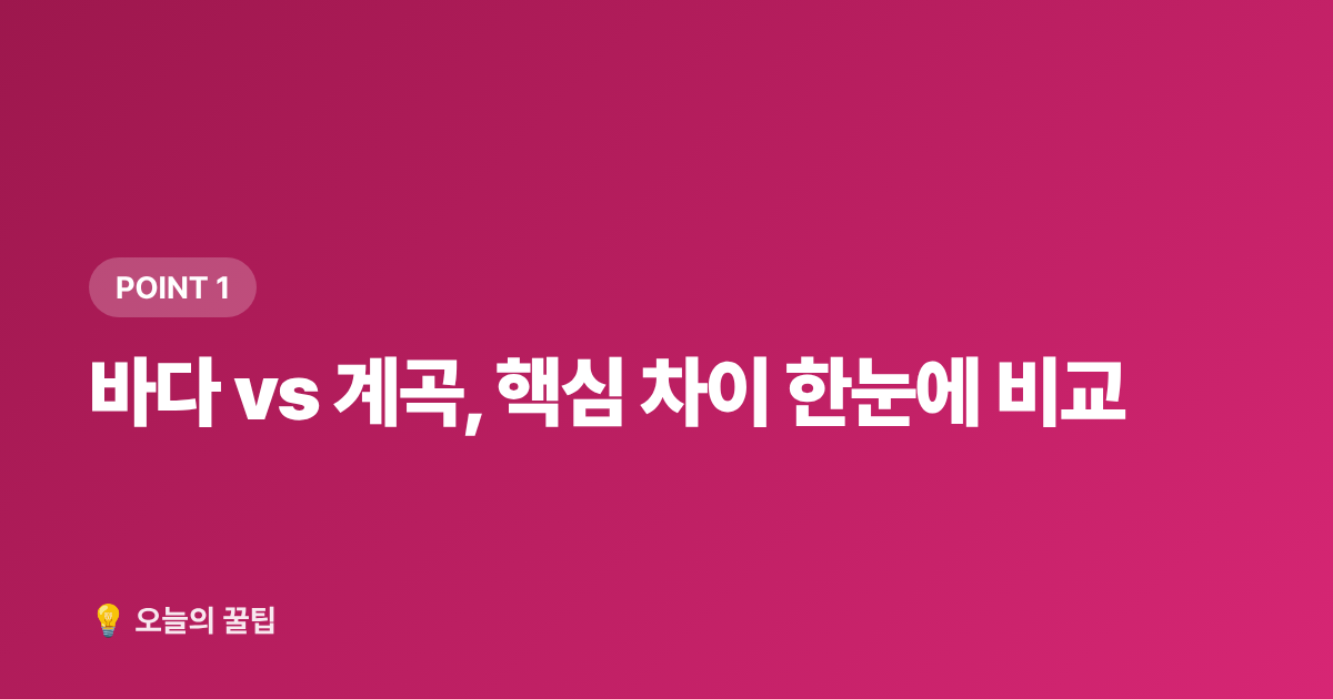 바다 vs 계곡, 핵심 차이 한눈에 비교 - 여름 바다 vs 계곡 추천 명소: 8월 무료 물놀이 총정리
