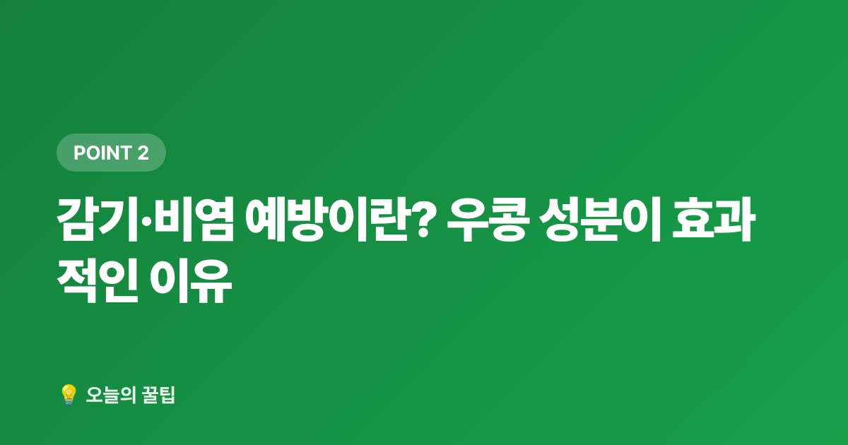 감기·비염 예방이란? 우콩 성분이 효과적인 이유 - 2026 감기·비염 예방 우콩 건강식품 추천 TOP5 및 영양제 구매가이드