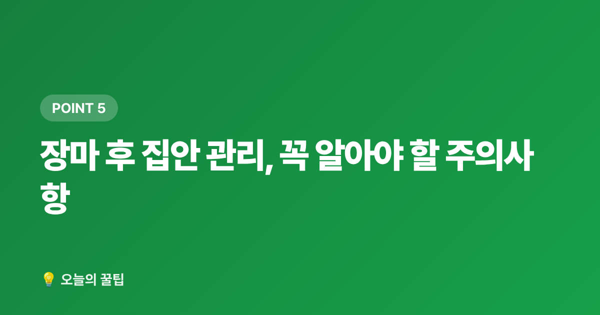 장마 후 집안 관리, 꼭 알아야 할 주의사항 - 장마 후 환기·옷장·신발장 냄새 제거 완벽 노하우