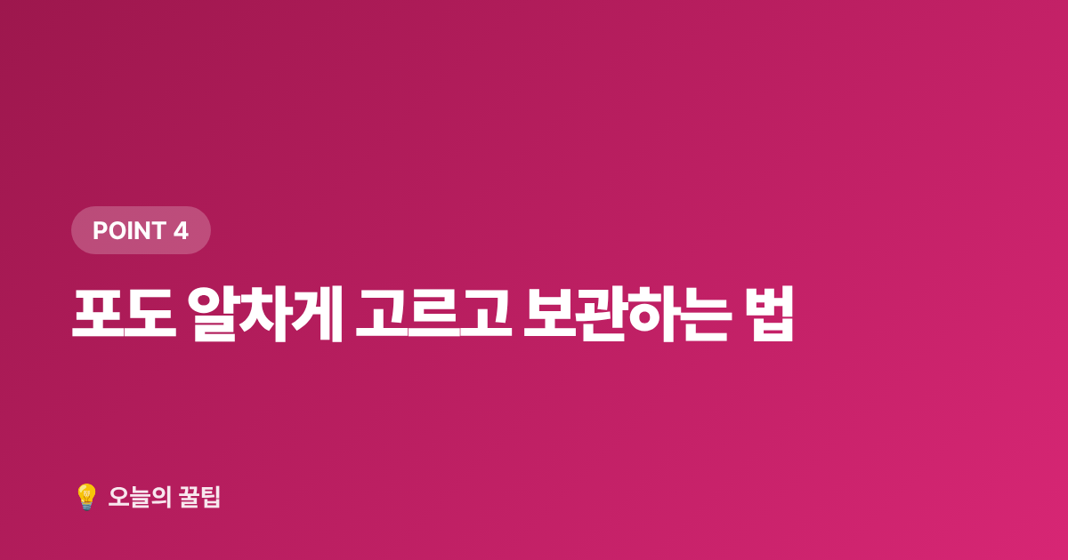 포도 알차게 고르고 보관하는 법 - 8월 제철음식 전복·복숭아·포도 제대로 고르고 싸게 사는 법