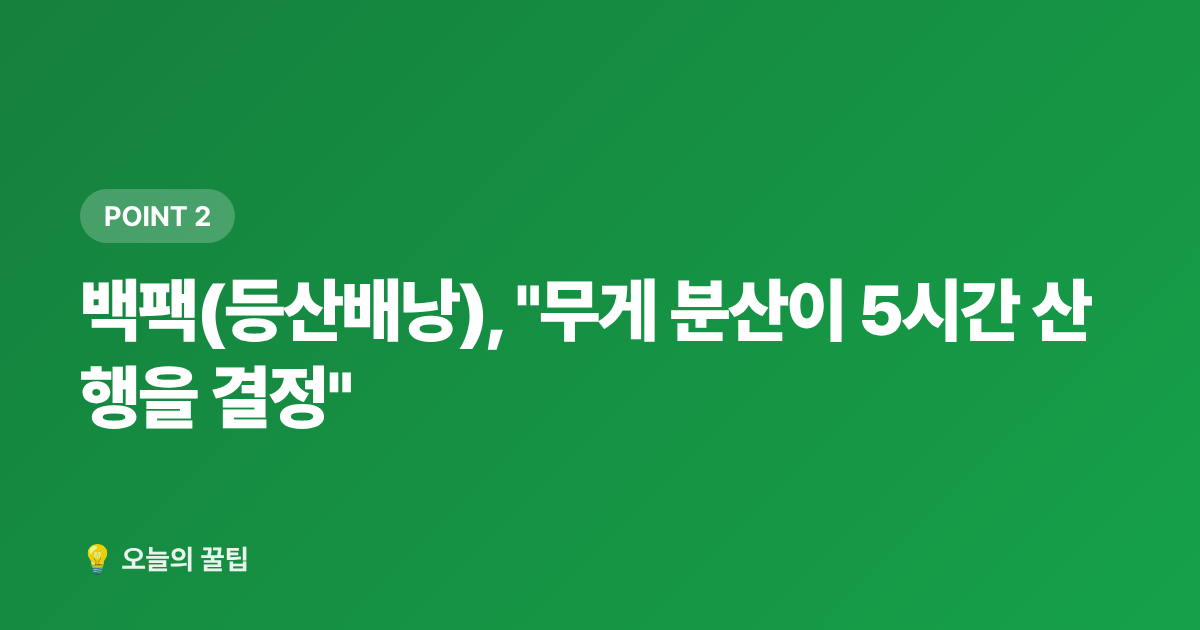 백팩(등산배낭), "무게 분산이 5시간 산행을 결정" - 2026 가을 야외활동 필수템 추천 — 등산화·백팩·방충용품 선택 가이드