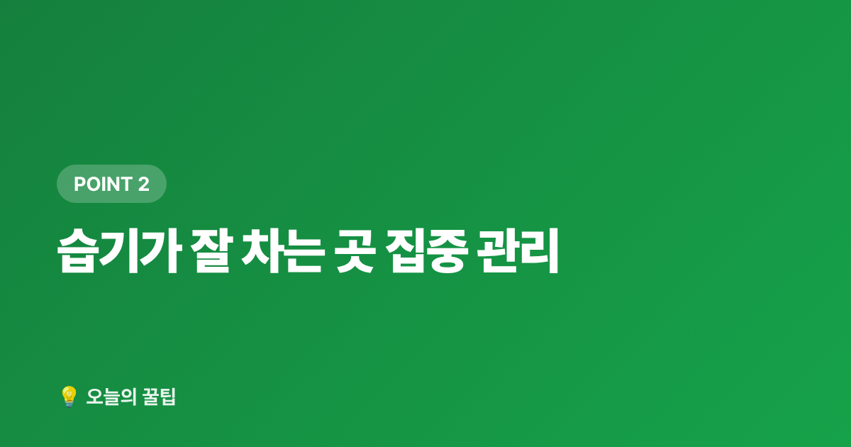 습기가 잘 차는 곳 집중 관리 - 장마철 제습기 사용법과 곰팡이 예방 꿀팁