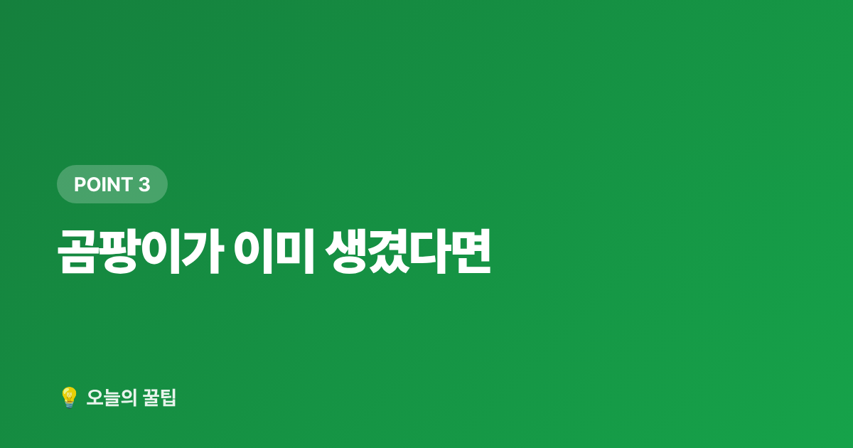 곰팡이가 이미 생겼다면 - 장마철 제습기 사용법과 곰팡이 예방 꿀팁