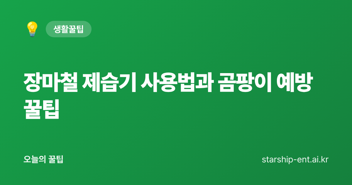 장마철 제습기 사용법과 곰팡이 예방을 정리한 오늘의 꿀팁 대표 이미지