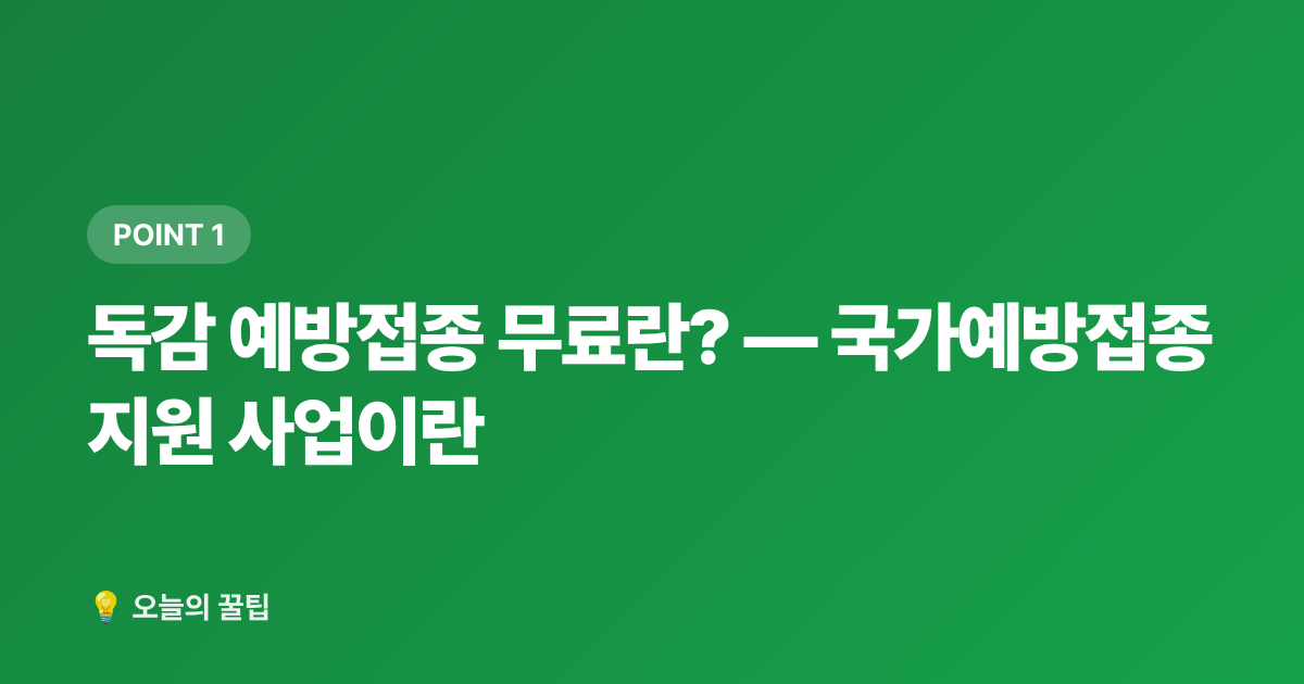 독감 예방접종 무료란? — 국가예방접종 지원 사업이란 - 독감 예방접종 무료 대상과 접종 시기 완벽 정리