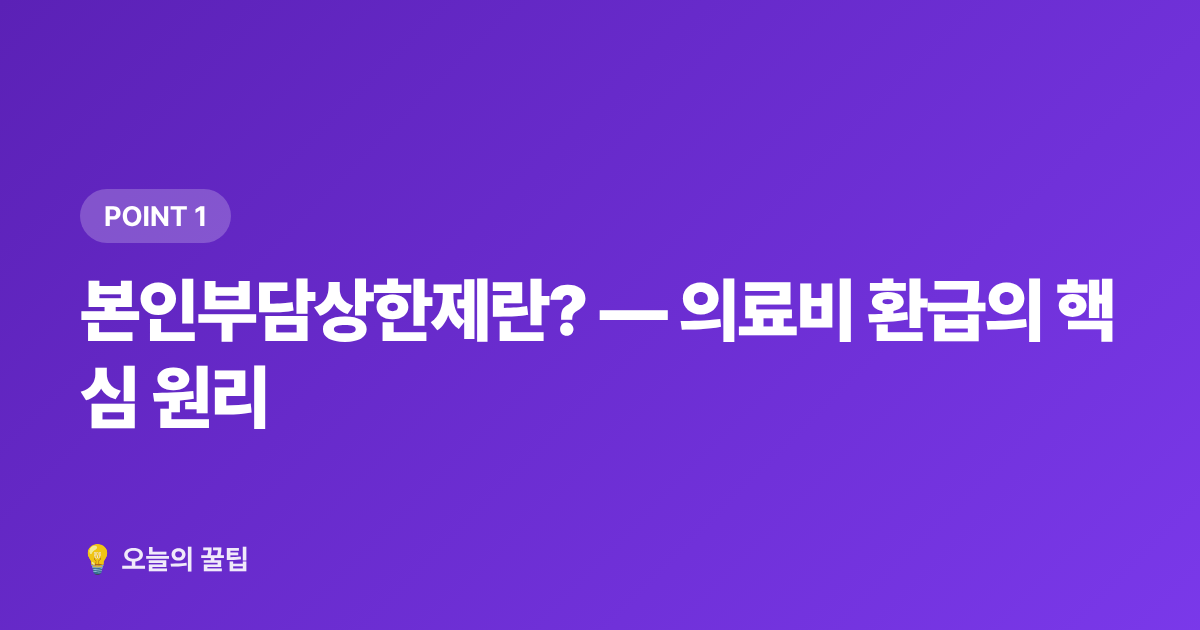 본인부담상한제란? — 의료비 환급의 핵심 원리 - 건강보험 환급금 조회·신청 완벽 가이드 2026