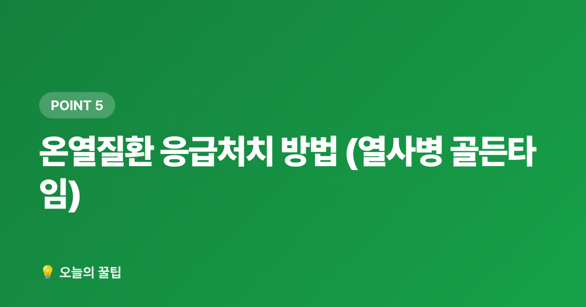 온열질환 응급처치 방법 (열사병 골든타임) - 폭염 온열질환 예방 생활수칙 총정리