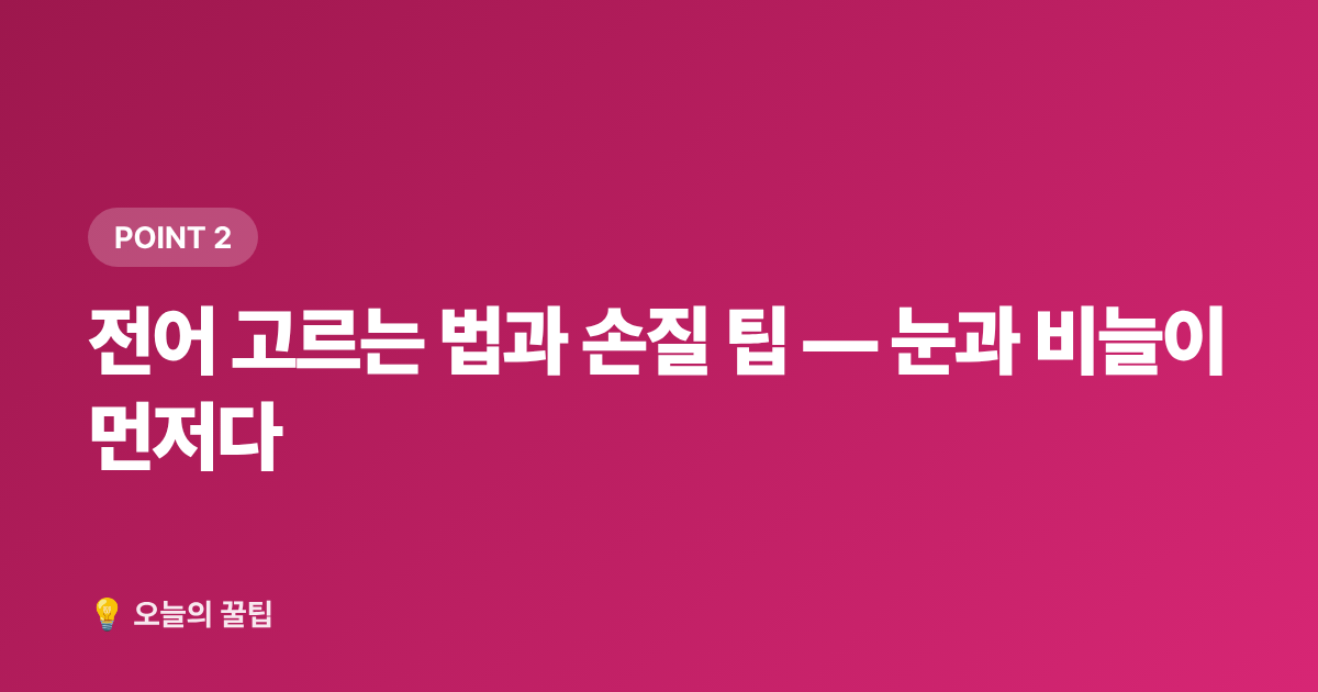 전어 고르는 법과 손질 팁 — 눈과 비늘이 먼저다 - 9월 제철음식 미리보기: 전어·대하·무화과 고르는 법과 손질 팁