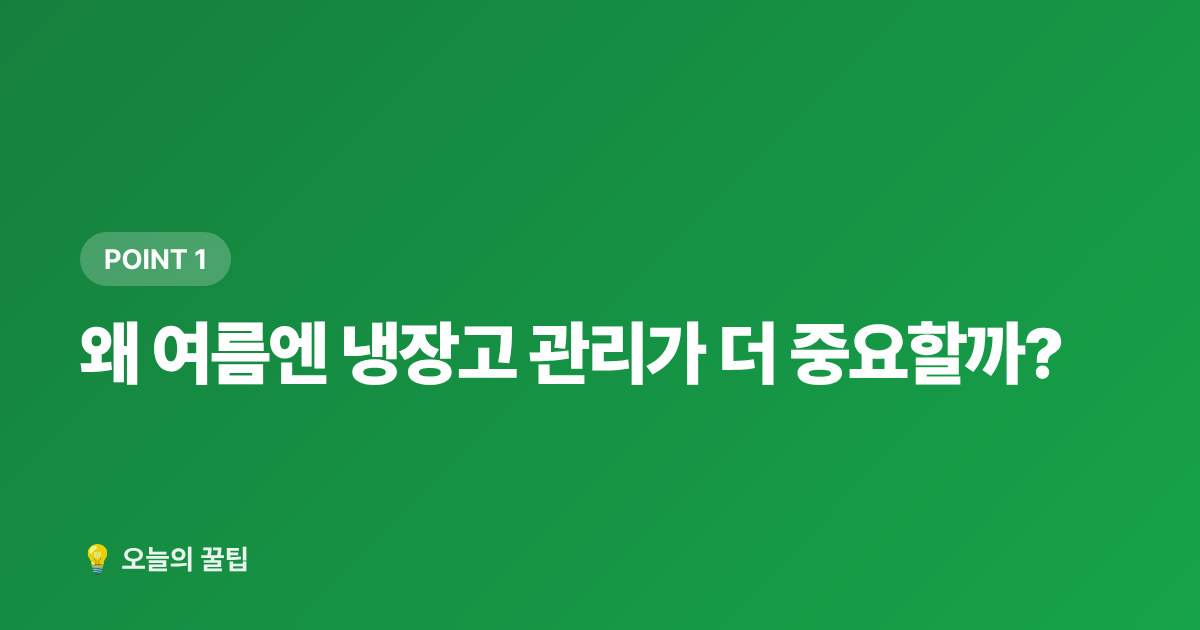 왜 여름엔 냉장고 관리가 더 중요할까? - 냉장고 정리·식재료 보관법으로 음식물 쓰레기 줄이는 여름 꿀팁