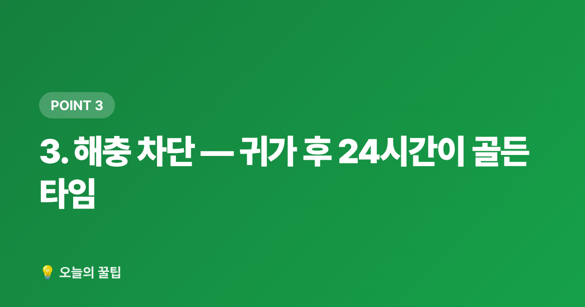 3. 해충 차단 — 귀가 후 24시간이 골든 타임 - 여름 휴가 후 집안 리셋: 빨래·침구·해충 차단 꿀팁