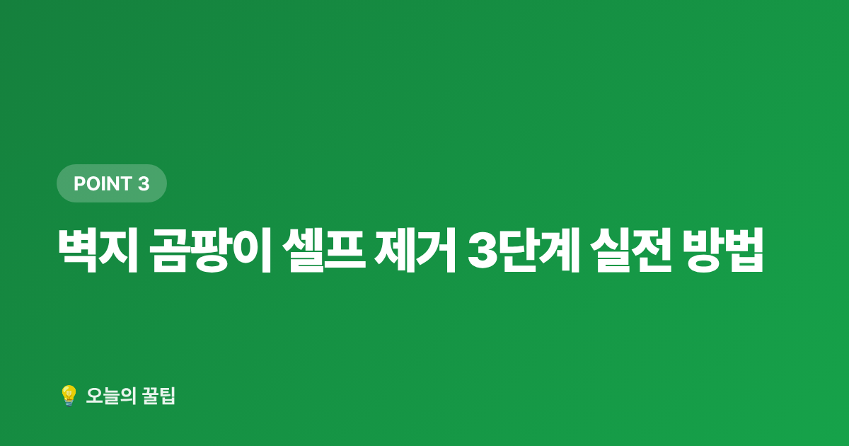 벽지 곰팡이 셀프 제거 3단계 실전 방법 - 벽지 곰팡이 셀프 제거와 재발 방지 완벽 가이드