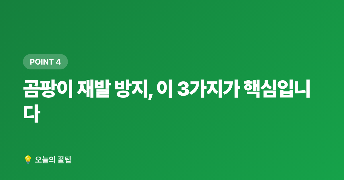 곰팡이 재발 방지, 이 3가지가 핵심입니다 - 벽지 곰팡이 셀프 제거와 재발 방지 완벽 가이드