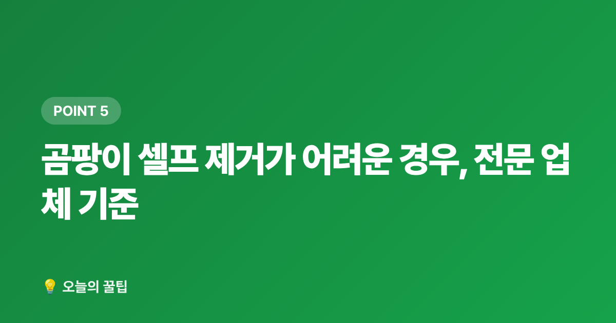 곰팡이 셀프 제거가 어려운 경우, 전문 업체 기준 - 벽지 곰팡이 셀프 제거와 재발 방지 완벽 가이드