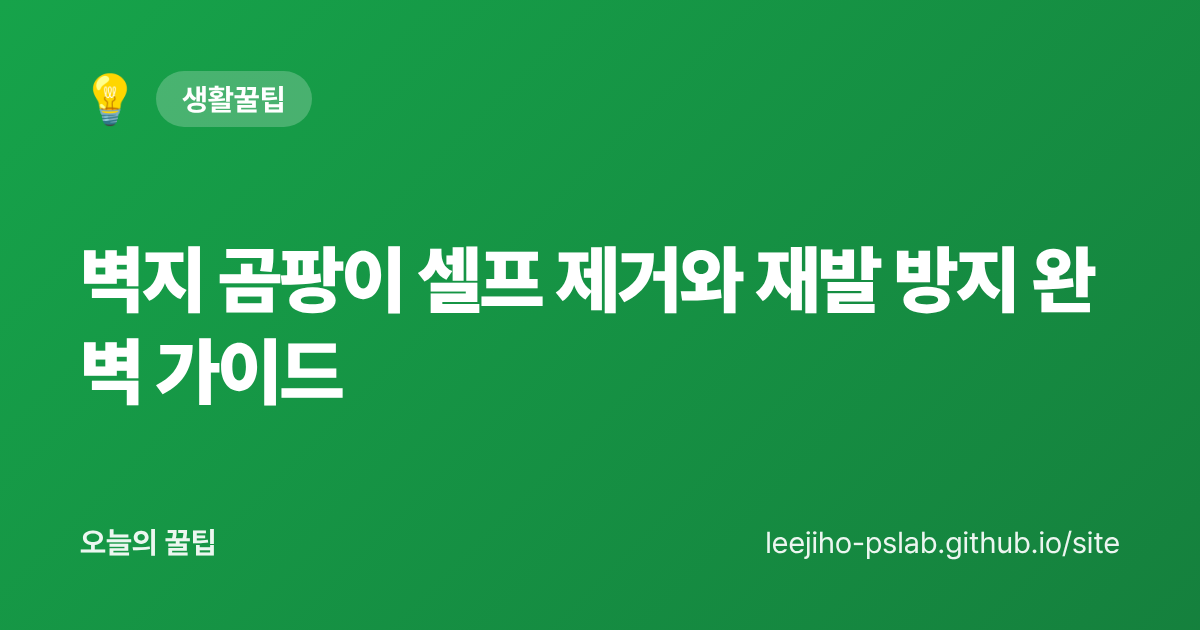 벽지 곰팡이 셀프 제거와 재발 방지 완벽 가이드 - 오늘의 꿀팁 대표 이미지
